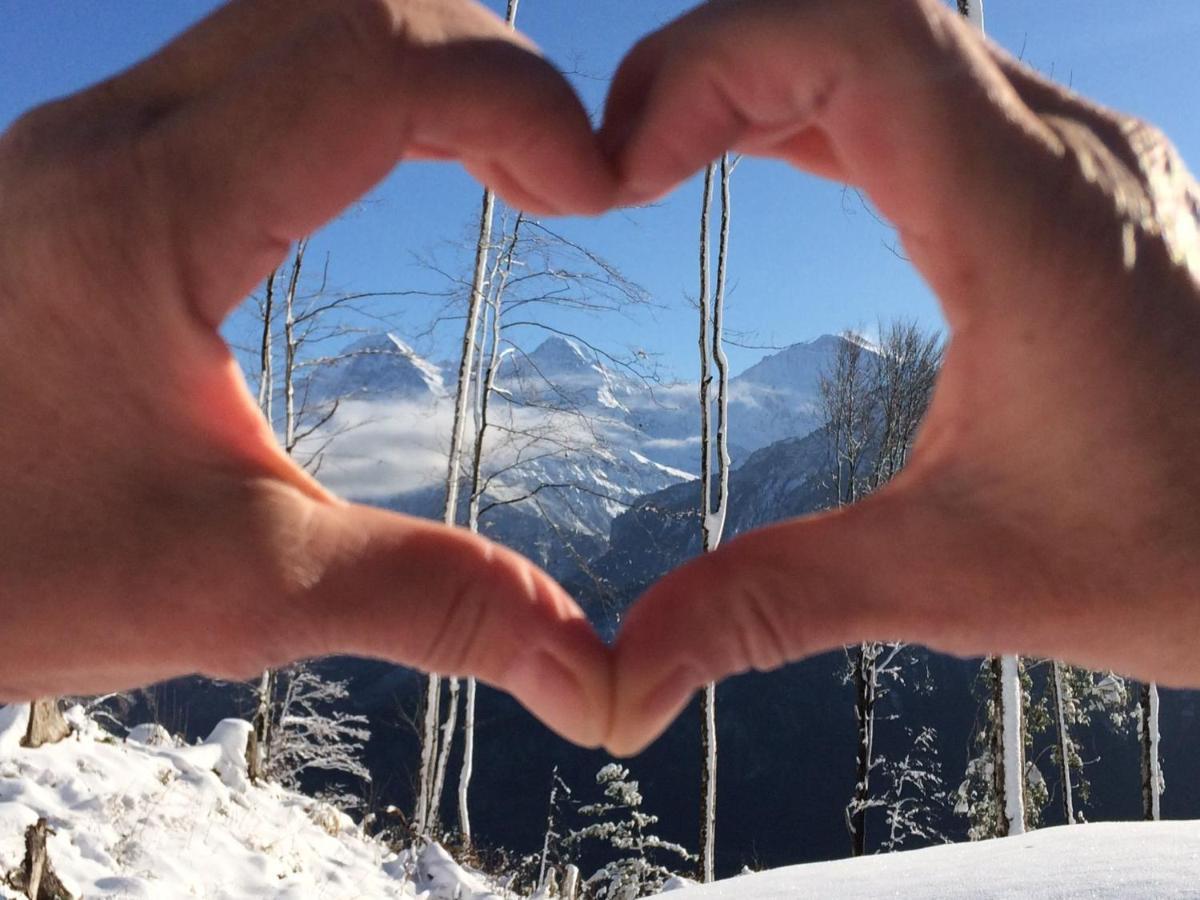 Snowflake Leissigen Bagian luar foto