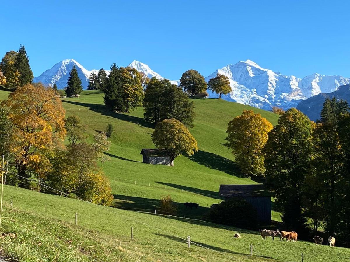 Snowflake Leissigen Bagian luar foto