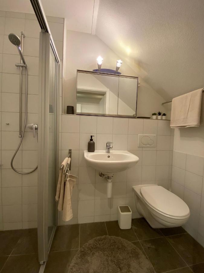 Snowflake Leissigen Bagian luar foto