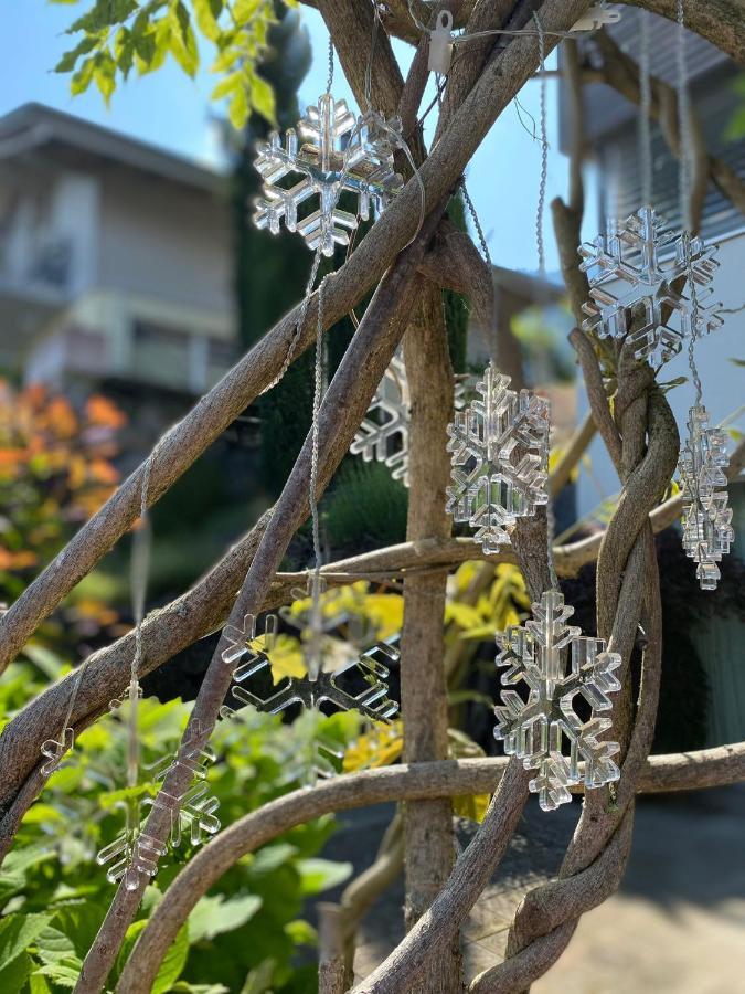 Snowflake Leissigen Bagian luar foto